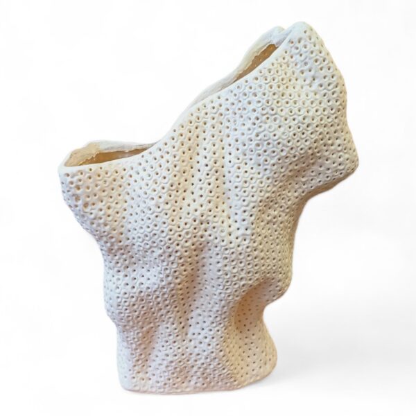 Vaso Coral