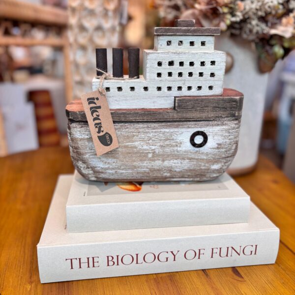 Escultura Navio em Madeira Rústica - Importado de Bali