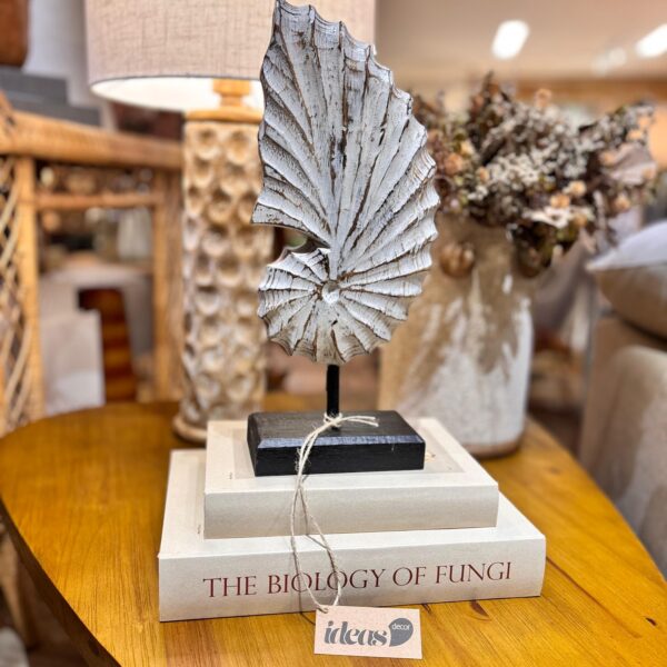 Escultura Concha em Madeira - Importado de Bali