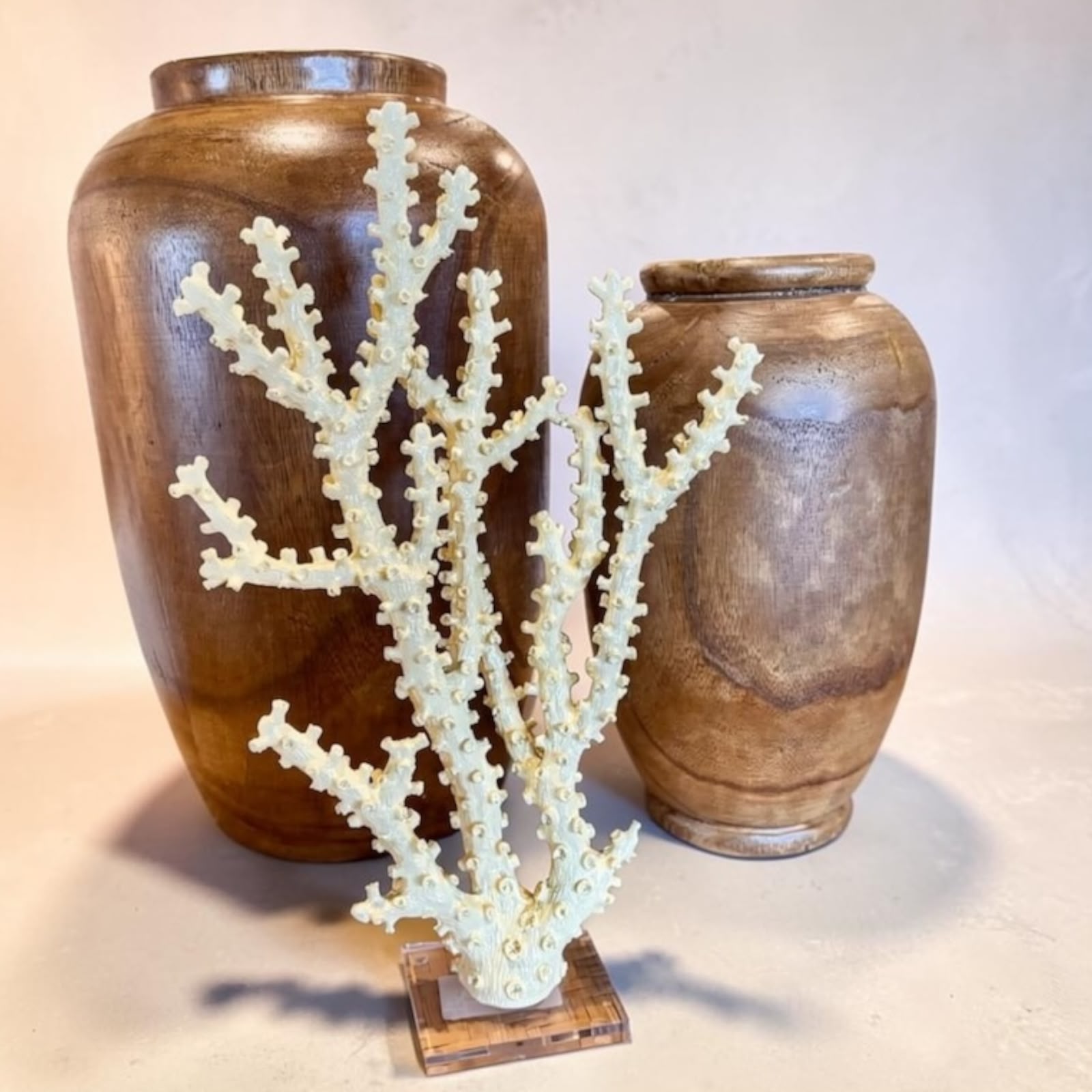 Escultura Coral Amarelo Creme em Resina e Acrílico - 38 cm de Altura