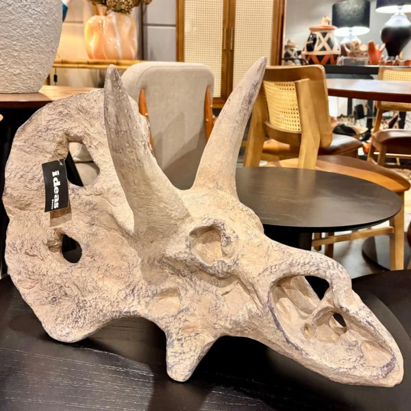 Escultura Fóssil Dino em Resina